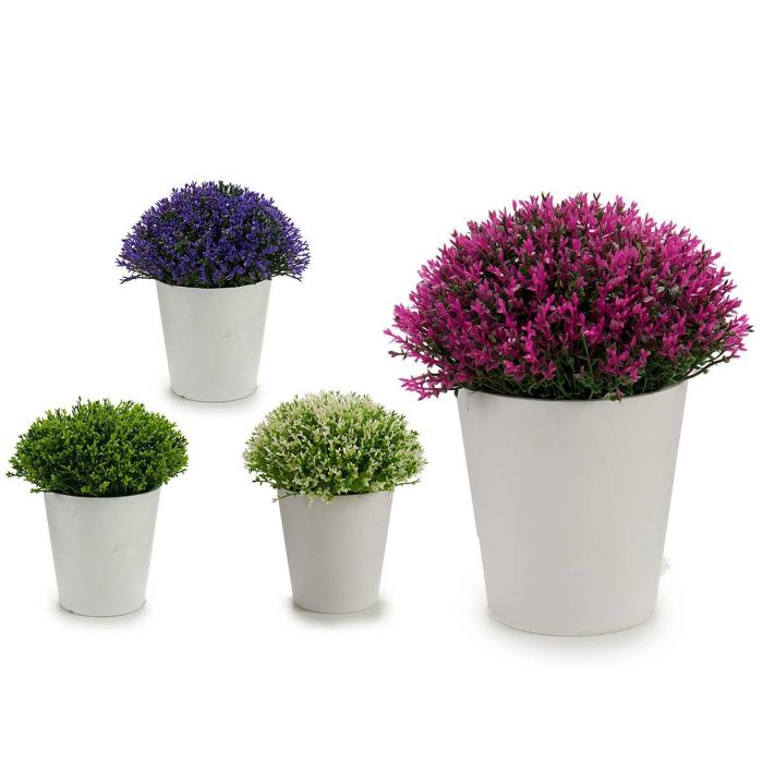 Maceta Blanca Ptos Flor Mini Surtidoscolor Ibergarden 14X16CM (24 Unidades) Maceta Blanca Ptos Flor Mini Surtidoscolor Ibergarden 14X16CM (24 Unidades)