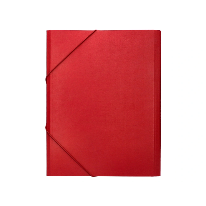 Liderpapel Carpeta Clasificadora Folio Prolongado Cartón Forrado 12 Departamentos Color Rojo 3