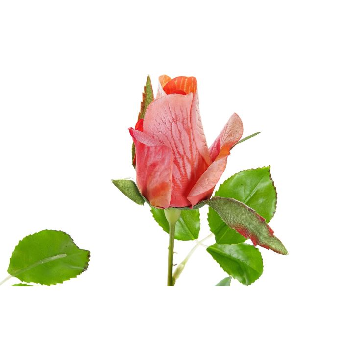 Flor DKD Home Decor Melocoton Rojo 15 x 45 x 15 cm (48 Unidades) 2 Flor DKD Home Decor Melocoton Rojo 15 x 45 x 15 cm (48 Unidades) 2