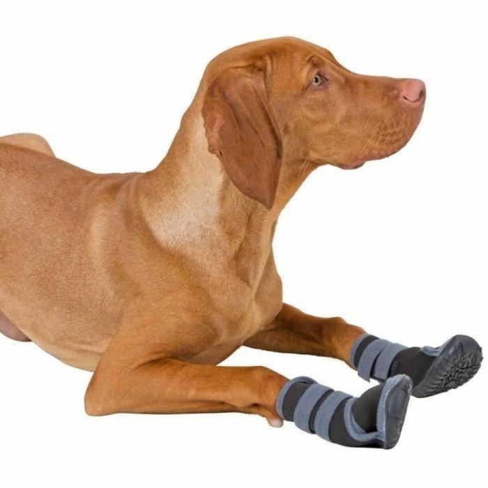 Kerbl 4018653907931 Zapatos para perros ACTIVE Gris/negro Talla XL 1