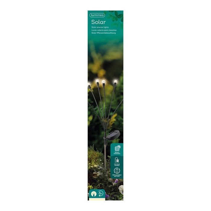 Lumineo 898736 Estaca Solar Luz Fija para Plantas y Jardín 70cm 6 Leds 1
