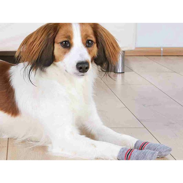 Calcetines Trixie Gris XL Perro 6 Calcetines Trixie Gris XL Perro 6