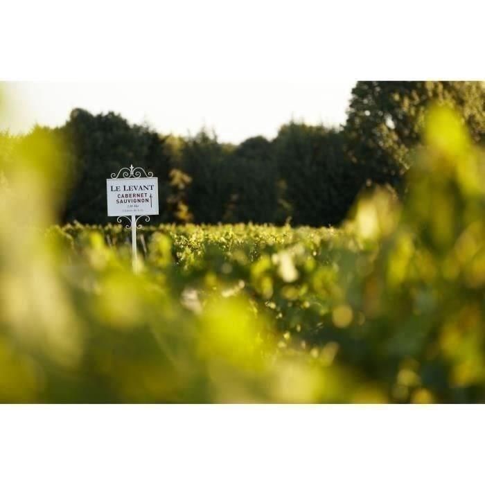 Caja de medallas de oro de Burdeos: Château du Lort, La Croix Montlabert, Châteaux Tour Prignac - Vino tinto de Burdeos 3