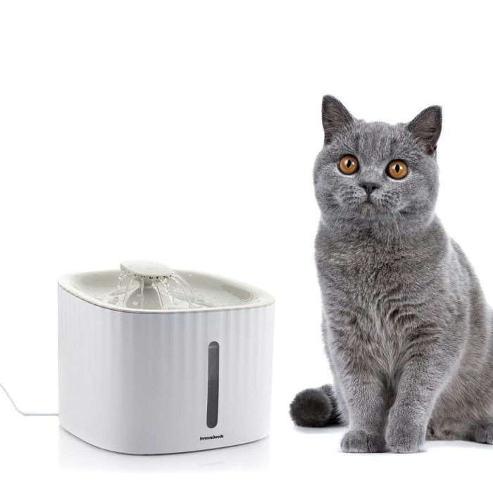 Pack Clip de Selfies para Mascotas y Fuente para Mascotas InnovaGoods 19