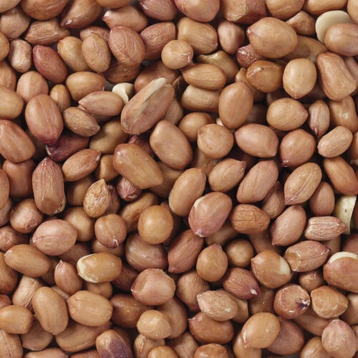 Comida para pájaros Deli Nature Premium 1 kg 1