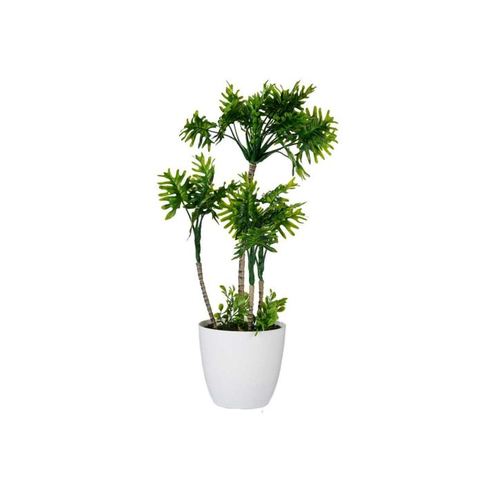 Maceta Planta Alta 4 Palmeras Verdes Ibergarden 16X54CM (6 Unidades) 1 Maceta Planta Alta 4 Palmeras Verdes Ibergarden 16X54CM (6 Unidades) 1