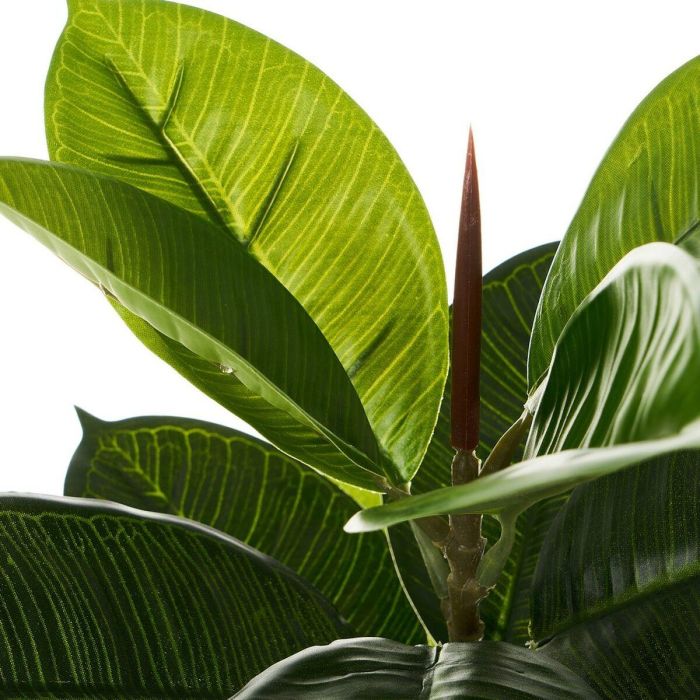 Planta Decorativa Polietileno Plástico Ficus 40 x 40 x 75 cm 2 Planta Decorativa Polietileno Plástico Ficus 40 x 40 x 75 cm 2