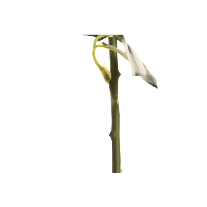 Flor  DKD Home Decor Blanco 9 x 67 x 9 cm (12 Unidades) 2