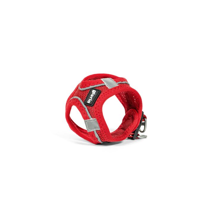 Arnés para Perro Gloria Trek Star 24-26 cm 28-28,6 cm Rojo XXS 2