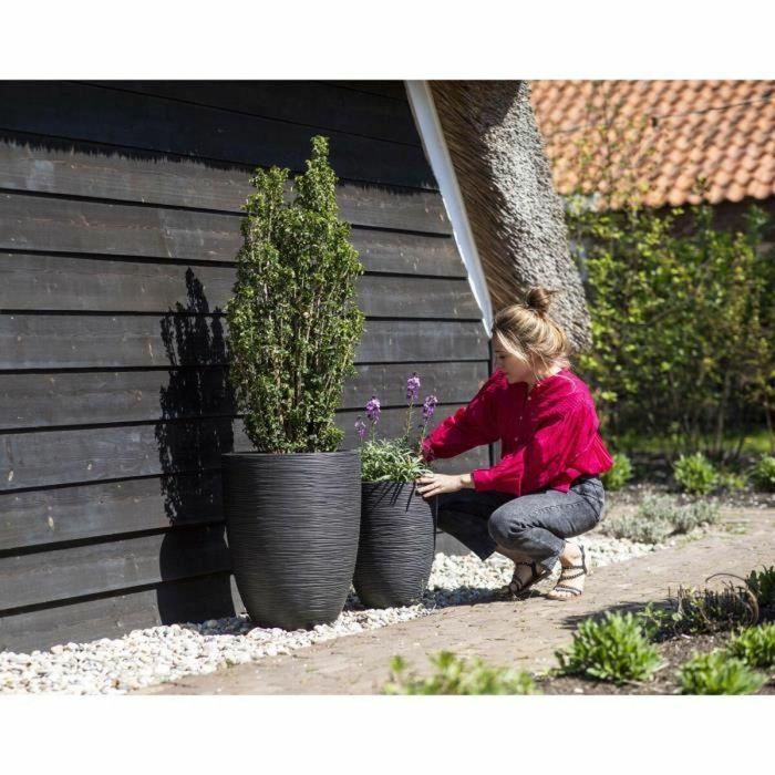 Florero bajo elegante - CAPI EUROPE - RIB NL - 46 x 58 cm - Negro 3 Florero bajo elegante - CAPI EUROPE - RIB NL - 46 x 58 cm - Negro 3