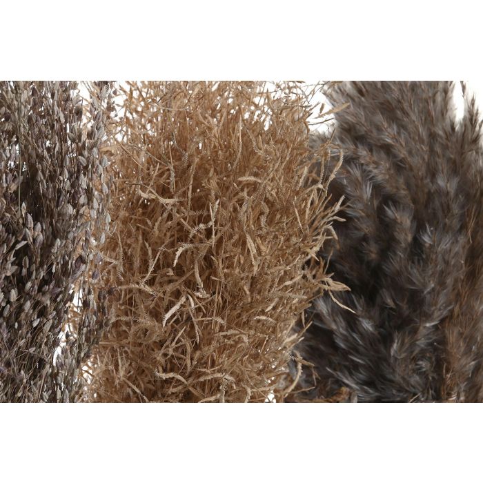 DKD Home Decor Planta Alpino Marron Natural 18 x 40 x 18 cm (12 Unidades) 2