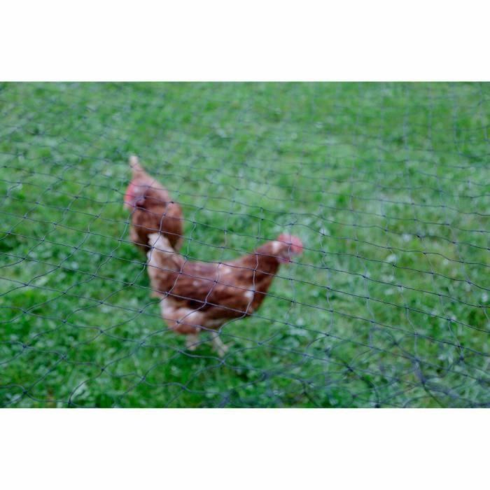 Kerbl KER4018653244074 Neta protectora para aves de corral, malla de 60 mm, 10 x 5 m, color negro 1