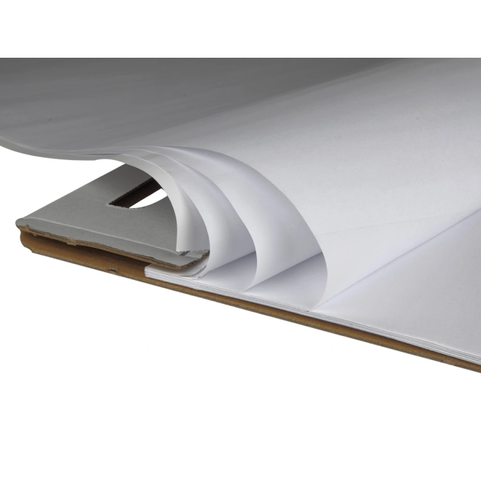 Liderpapel Bloc congreso liso 630x840 mm 50 hojas 80 g/m² 4