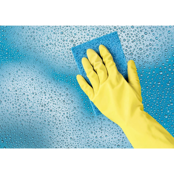 Blanca Guantes de Látex Satinados Antideslizantes Sin Polvo Talla Pequeña Paquete de 2 Guantes de Protección EPI Cat. III 3 Blanca Guantes de Látex Satinados Antideslizantes Sin Polvo Talla Pequeña Paquete de 2 Guantes de Protección EPI Cat. III 3