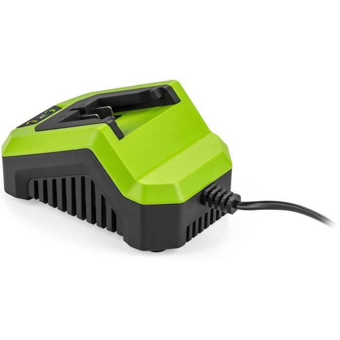 Cargador - FIELDMANN - Para batería de 20 V - Carga 2 Ah en 60 min - Compatible con 2 Ah, 4 Ah 4 Cargador - FIELDMANN - Para batería de 20 V - Carga 2 Ah en 60 min - Compatible con 2 Ah, 4 Ah 4