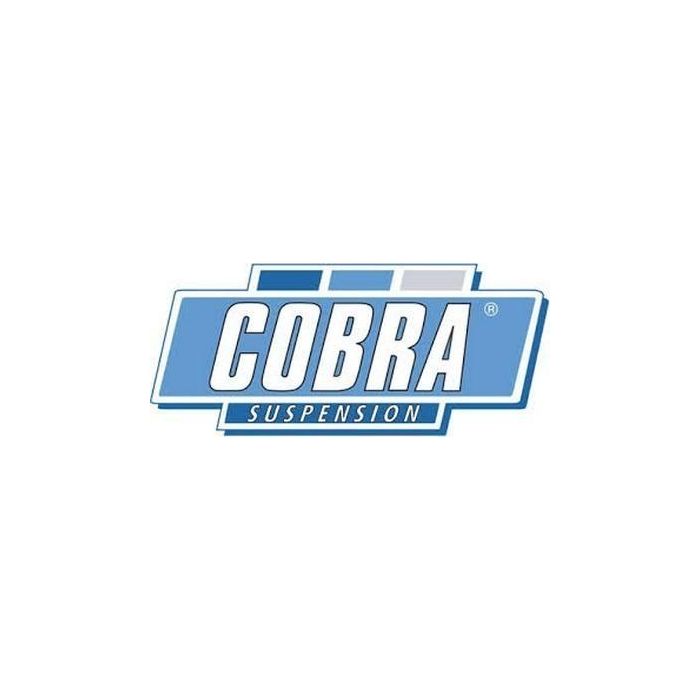Cobra 00.9101 COB009101 Muelles Deportivos para Autos