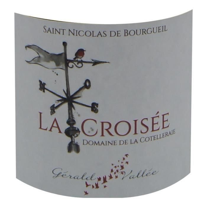 Domaine de la Cotelleraie Cuvée La Croisée 2022 Saint Nicolas de Bougeuil - Vino tinto del Loira - Ecológico 1