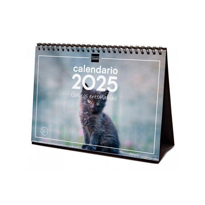 Finocam Calendario De Sobremesa Para Escribir S-210x150 mm Imágenes Gatitos 2025 Finocam Calendario De Sobremesa Para Escribir S-210x150 mm Imágenes Gatitos 2025