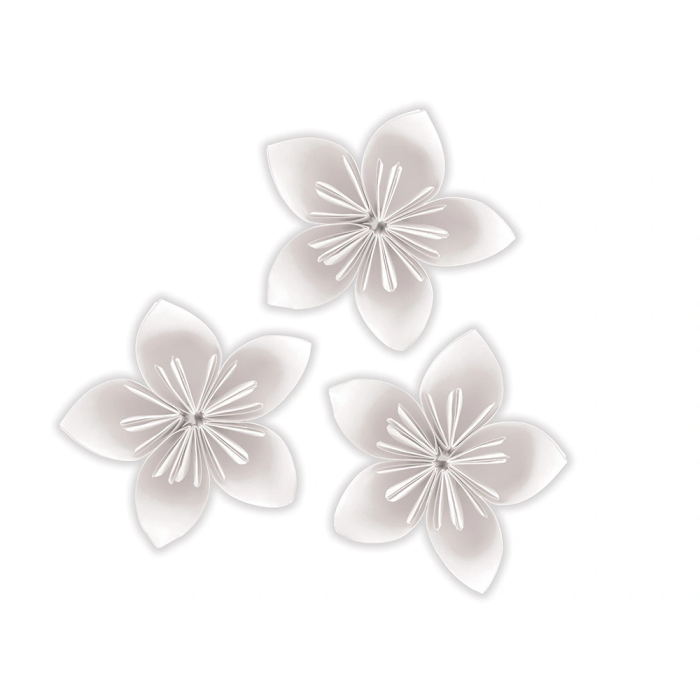 Liderpapel Bloc trabajos manuales cartulina 240x315mm 10 hojas color blanco 5