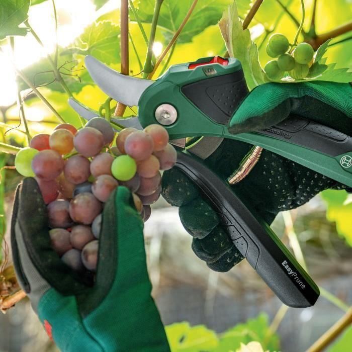 Easyprune - poda inalámbrica de Bosch 4 Easyprune - poda inalámbrica de Bosch 4