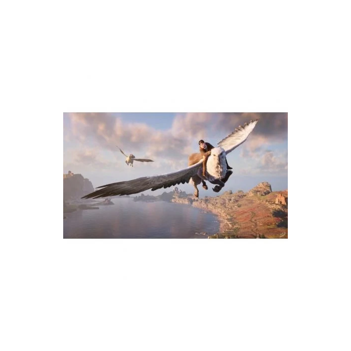 Nintendo Hogwarts Legacy Standard RPG Nintendo Switch HOGWARTS LEG STD SWITCH 2