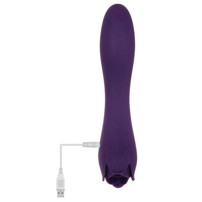 Vibrador Evolved Morado 8 Vibrador Evolved Morado 8