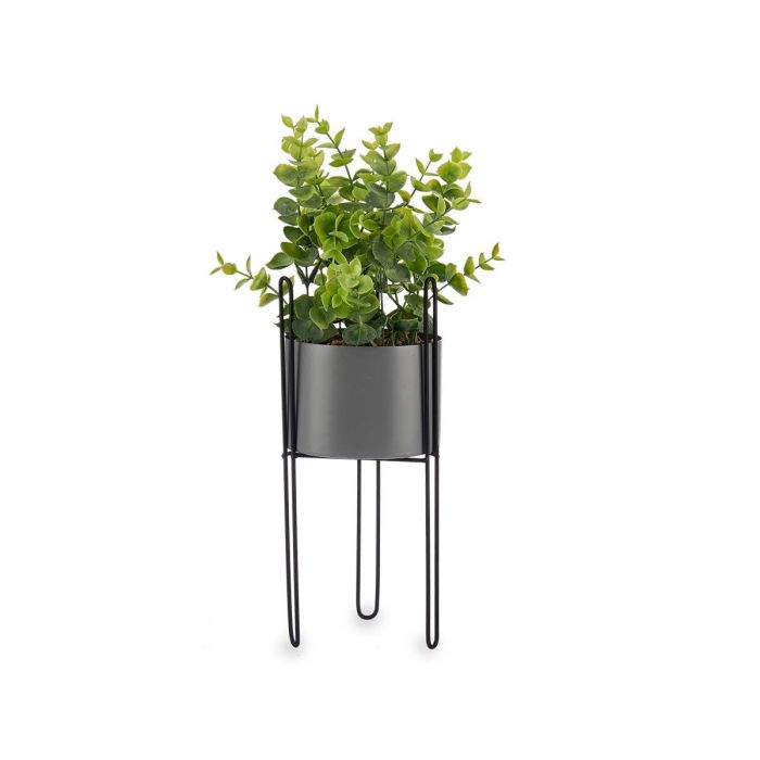 Planta Hoja Eucalipto Ibergarden - Base Metal Gris 14x40x14 cm (8 Unidades) 1 Planta Hoja Eucalipto Ibergarden - Base Metal Gris 14x40x14 cm (8 Unidades) 1