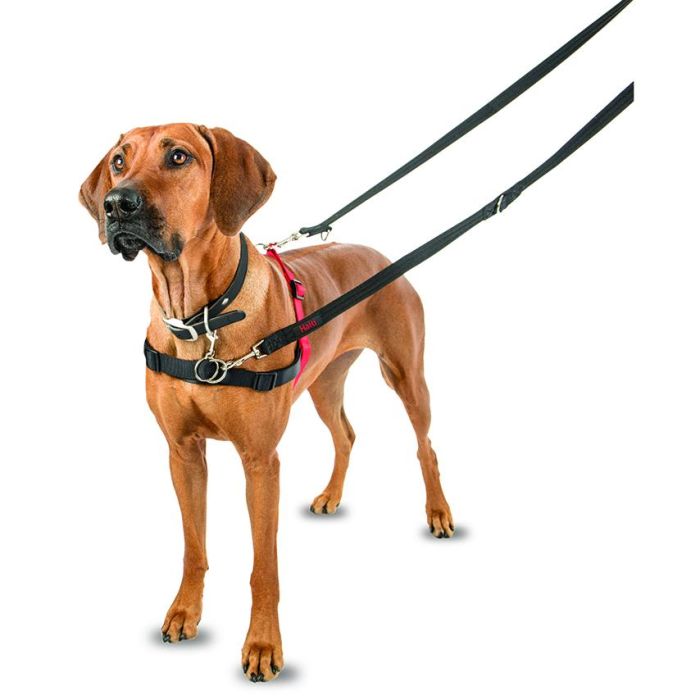 Halti Arnés de Control Delantero, ideal para Perros Medianos y Grandes, Talla L (cintura 80-120cm), Negro-Rojo 1