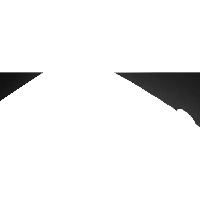 HP Mochila PROFESSIONAL para portatil de 17,3" 3