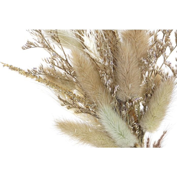 DKD Home Decor Decoración Shabby Beige y Marrón de Flor Seca y MDF 6x21x16 cm - Set de 2 Unidades 3