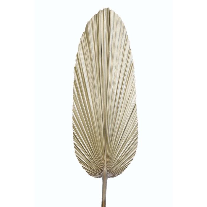 DKD Home Decor Rama Tropical 150 x 27 x 2 cm (12 Unidades) Hoja de Palmera 1