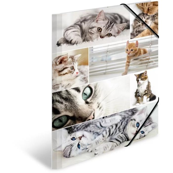 HERMA Sammelmappe A3 Katzen Pappe 1 HERMA Sammelmappe A3 Katzen Pappe 1