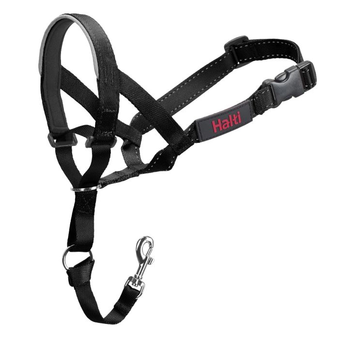 Company Of Animals Halti Headcollar Bozal Negro Talla 4 Cuello 46-62cm Hocico 30-40cm 2