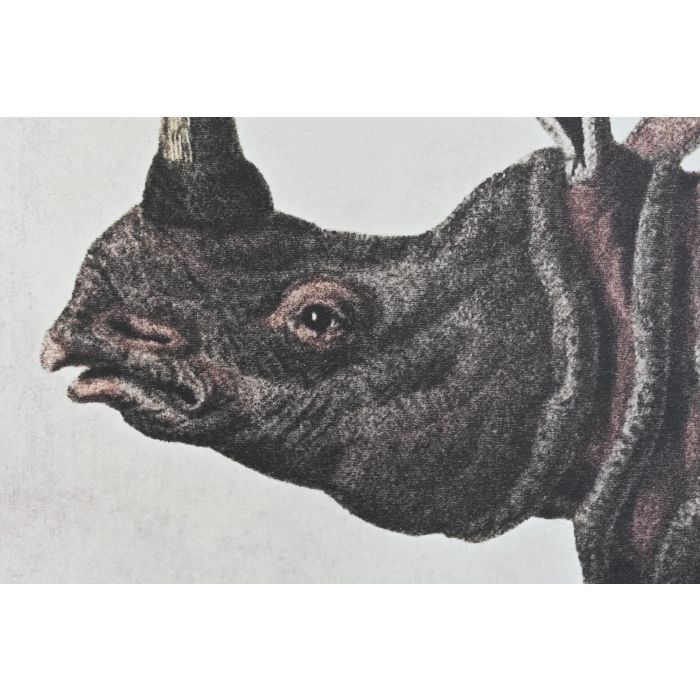 DKD Home Decor Cuadro Colonial Negro Gris Rinoceronte Set de 3 4 x 120 x 180 cm 2