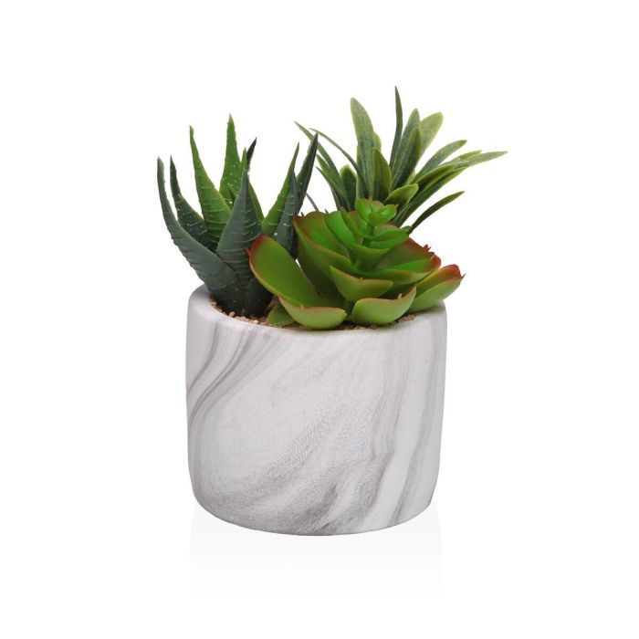Planta Decorativa Versa Cerámica Plástico Fusion Suculenta 9 x 15 x 9 cm