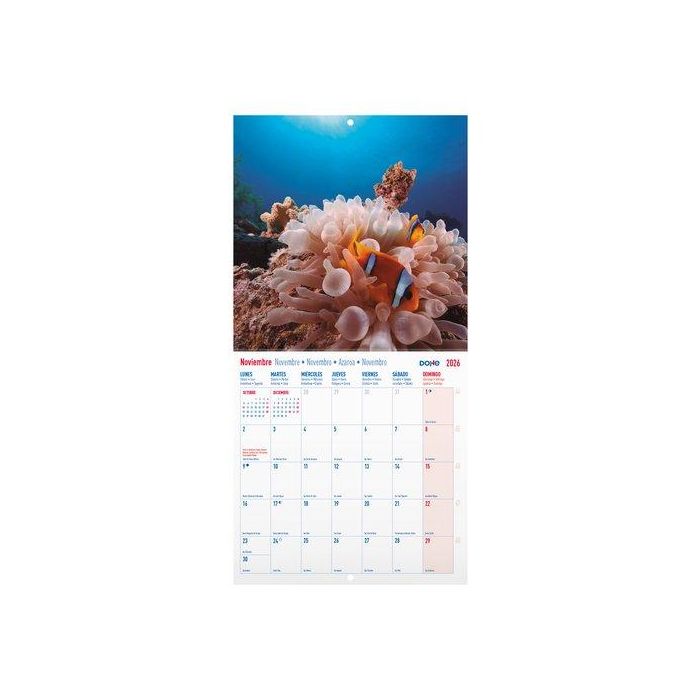 Calendario (2026) Dohe Pared Imagenes Mensual Para Escribir 300X300 Paisajes Exoticos