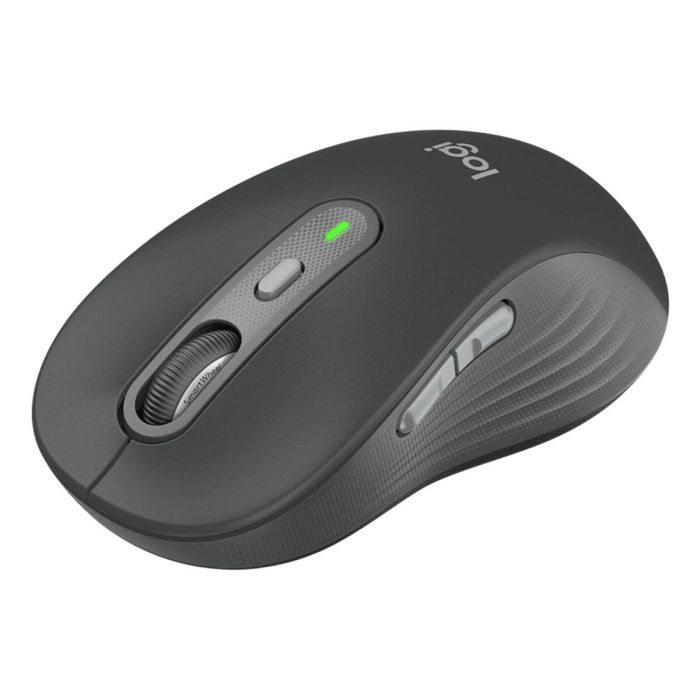 Ratón Logitech 910-007509 Grafito 4000 dpi 4