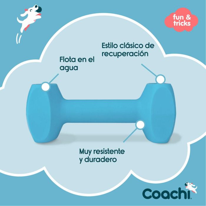 Coachi Training Dumbbell L Azul Claro 4
