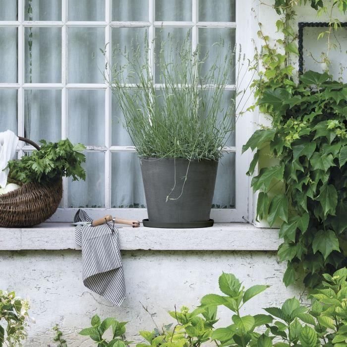 Deroma DER0191942095695 Platillo Origen 67 x h6 cm Gris 1 Deroma DER0191942095695 Platillo Origen 67 x h6 cm Gris 1