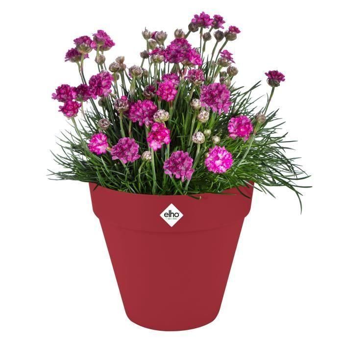 Maceta - Elho - Loft Urban Redonda - Roja - L 29 x An 28,5 x Al 26 cm - Exterior - 100% reciclada 2 Maceta - Elho - Loft Urban Redonda - Roja - L 29 x An 28,5 x Al 26 cm - Exterior - 100% reciclada 2