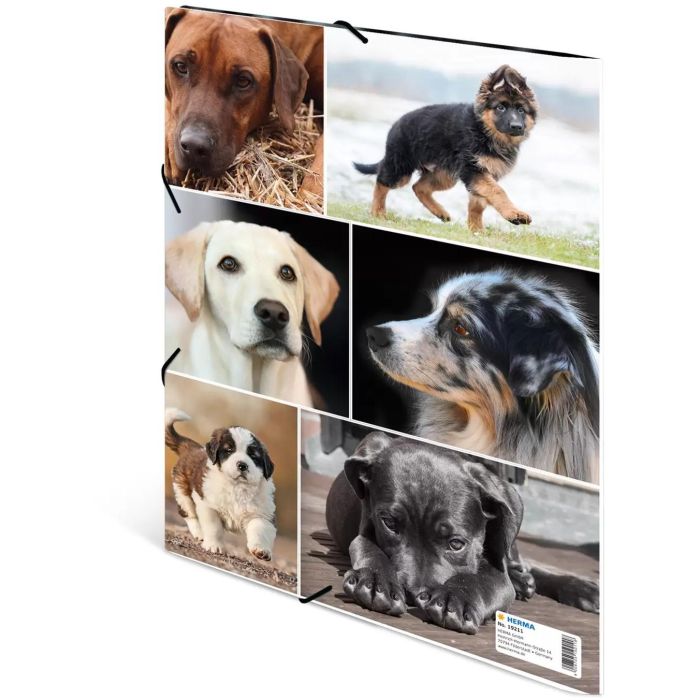 HERMA Sammelmappe A4 Hunde Pappe 2 HERMA Sammelmappe A4 Hunde Pappe 2