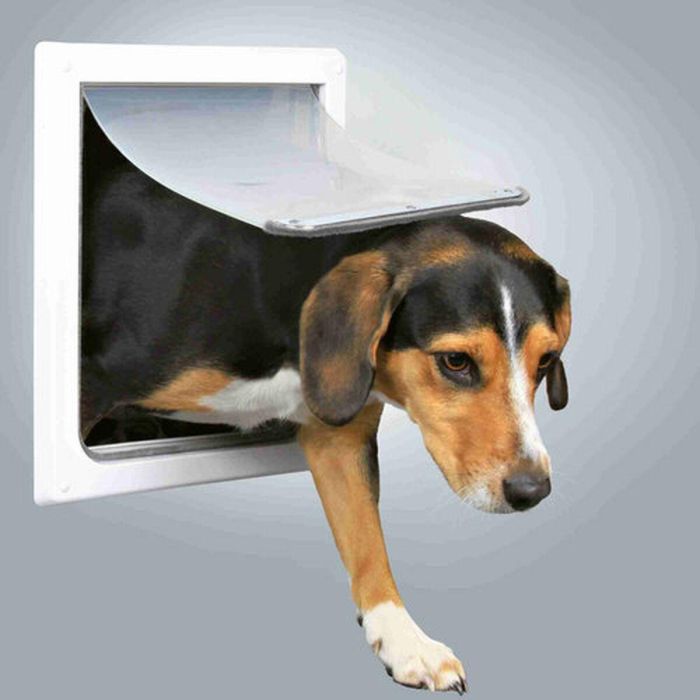 Gatera Trixie Blanco Plástico 30 × 36 CM 1 Gatera Trixie Blanco Plástico 30 × 36 CM 1