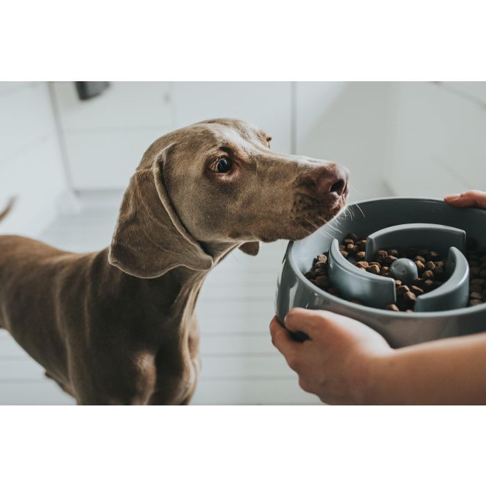 Hunter Comedero Anti-Glotón Atlanta para Perros 900 mL Melamina Gris Antideslizante Lavavajillas