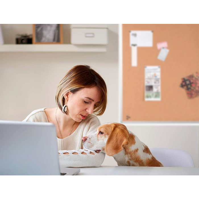 Q-connect Pizarra Corcho 60x45 cm con Marco de Aluminio 7