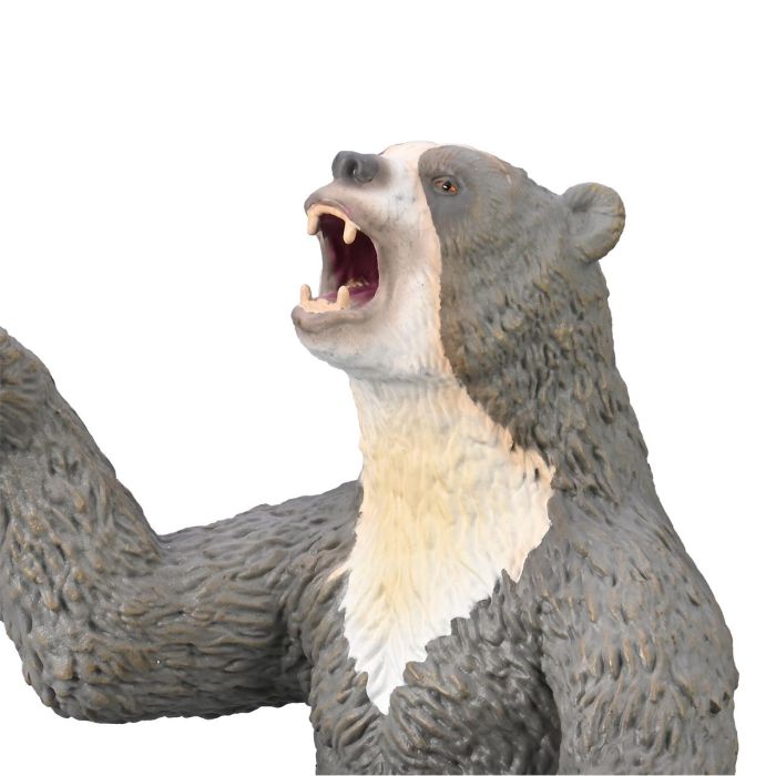 Oso De Cara Corta (Arctodus) Deluxe 80026 Collcta 1