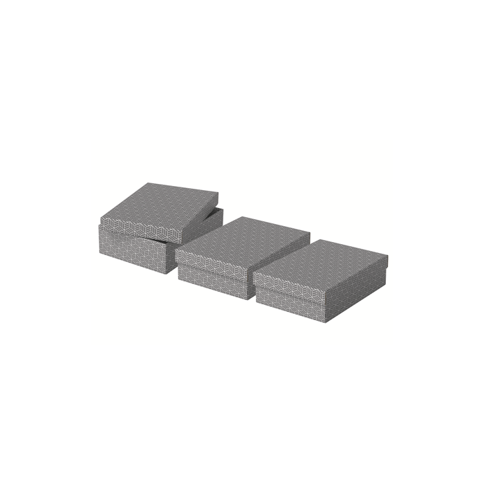 Esselte Caja de almacenamiento de cartón gris 360x265x100 mm pack 3 unidades 3