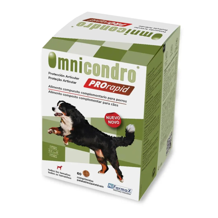 Omnicondro Prorapid 60 Comprimidos - Condroprotector para Perros con Vitamina C, Boswellia, Curcumina - Mejora Movilidad Articular Omnicondro Prorapid 60 Comprimidos - Condroprotector para Perros con Vitamina C, Boswellia, Curcumina - Mejora Movilidad Articular