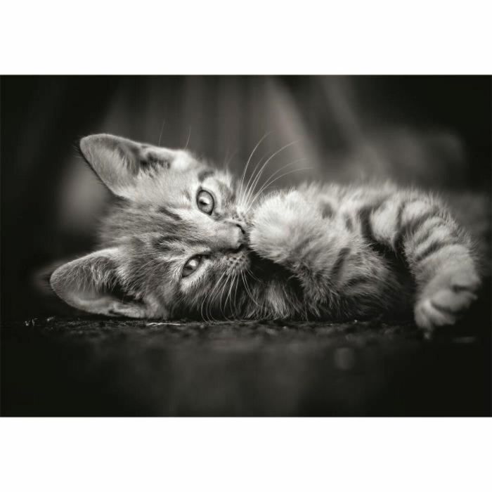 Clementoni CLE8005125399505 Puzzle Compacto 1000 Piezas Kitty 5 Clementoni CLE8005125399505 Puzzle Compacto 1000 Piezas Kitty 5