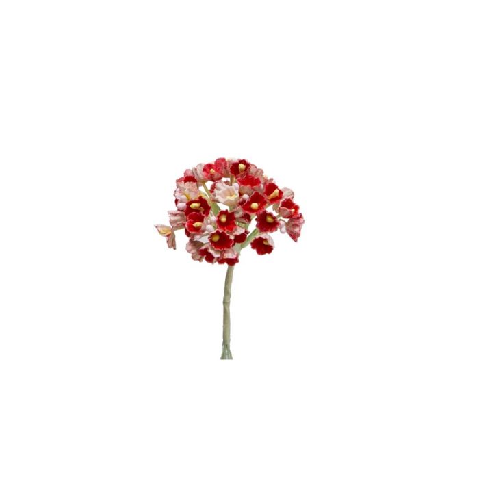 Bolsa 12 Mini Flores Pomos Miosoti Rojo