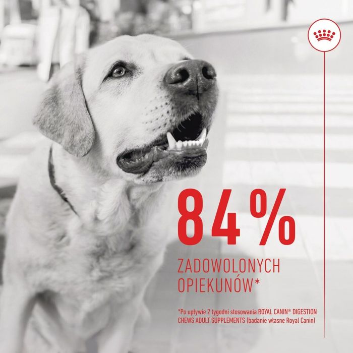 Snack para Perros Royal Canin Supplements Dog Digestion Adult 160 g 1 Snack para Perros Royal Canin Supplements Dog Digestion Adult 160 g 1